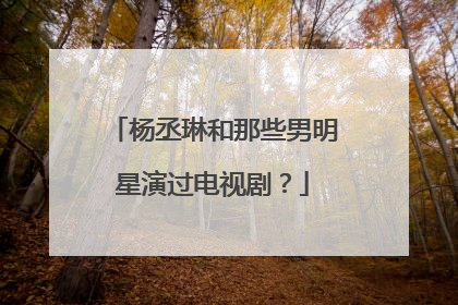 杨丞琳和那些男明星演过电视剧?