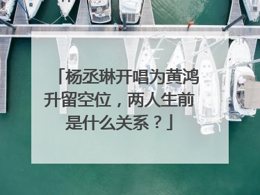 杨丞琳开唱为黄鸿升留空位，两人生前是什么关系？
