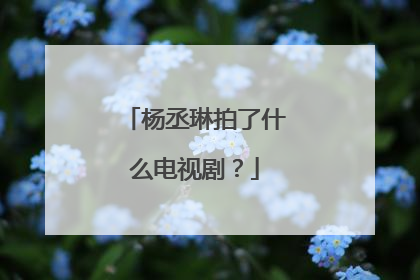 杨丞琳拍了什么电视剧？