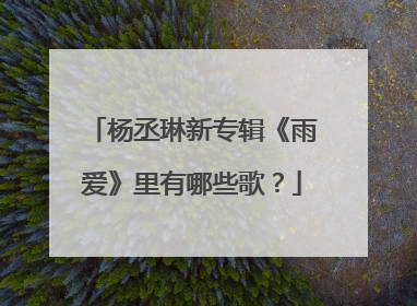 杨丞琳新专辑《雨爱》里有哪些歌？