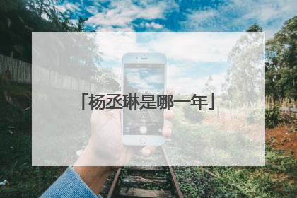 杨丞琳是哪一年