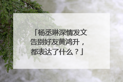 杨丞琳深情发文告别好友黄鸿升，都表达了什么？