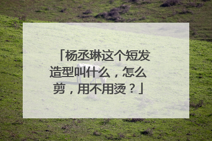 杨丞琳这个短发造型叫什么,怎么剪,用不用烫?