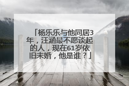 杨乐乐与他同居3年，汪涵最不愿谈起的人，现在61岁依旧未婚，他是谁？