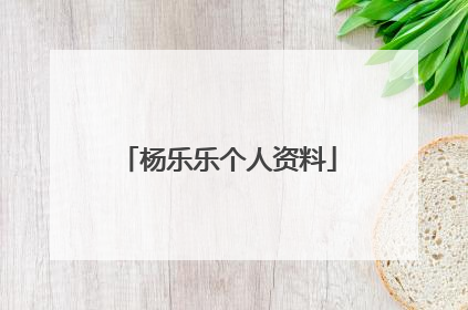 杨乐乐个人资料