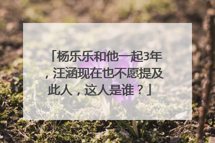 杨乐乐和他一起3年，汪涵现在也不愿提及此人，这人是谁？