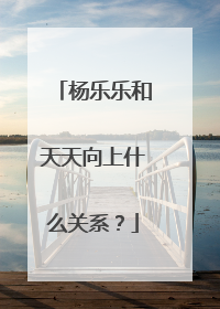 杨乐乐和天天向上什么关系？