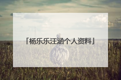 杨乐乐汪涵个人资料