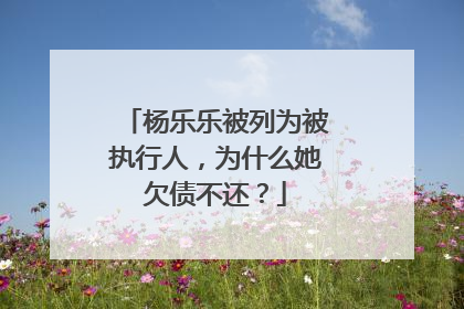 杨乐乐被列为被执行人,为什么她欠债不还?