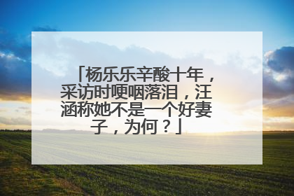 杨乐乐辛酸十年，采访时哽咽落泪，汪涵称她不是一个好妻子，为何？