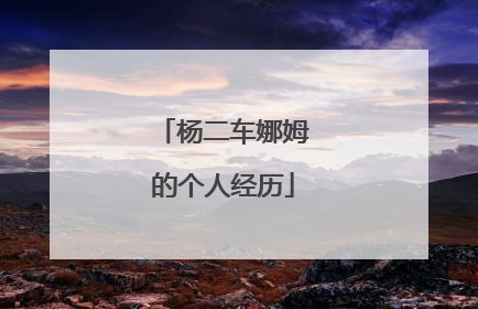 杨二车娜姆的个人经历