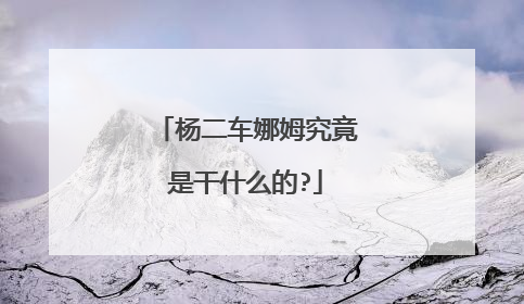 杨二车娜姆究竟是干什么的?