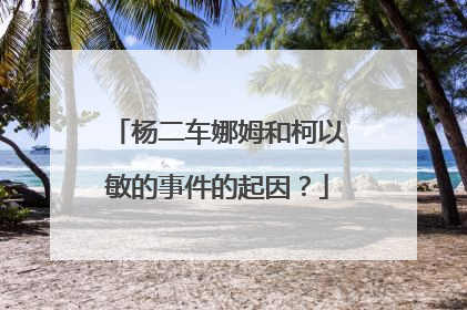 杨二车娜姆和柯以敏的事件的起因?