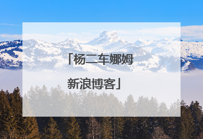 杨二车娜姆新浪博客