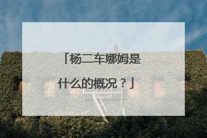 杨二车娜姆是什么的概况?