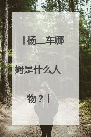 杨二车娜姆是什么人物？