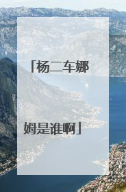 杨二车娜姆是谁啊