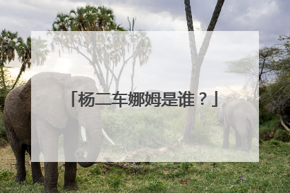 杨二车娜姆是谁?