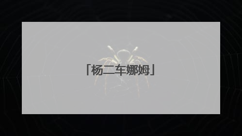 杨二车娜姆