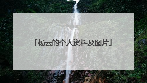 杨云的个人资料及图片