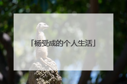 杨受成的个人生活