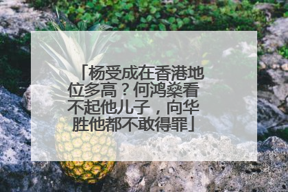 杨受成在香港地位多高？何鸿燊看不起他儿子，向华胜他都不敢得罪