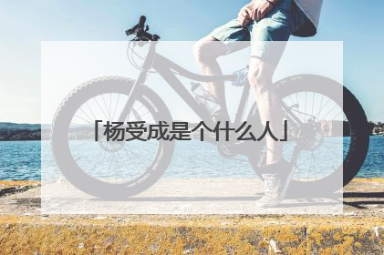 杨受成是个什么人