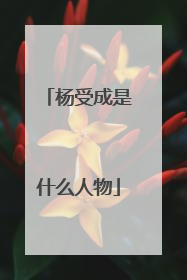 杨受成是什么人物