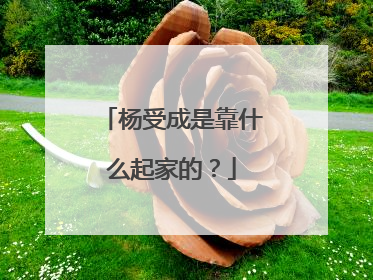 杨受成是靠什么起家的?