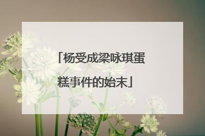 杨受成梁咏琪蛋糕事件的始末