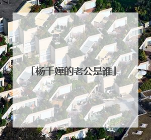 杨千嬅的老公是谁