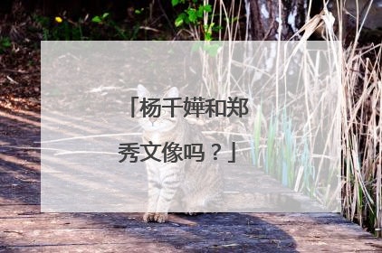 杨千嬅和郑秀文像吗？