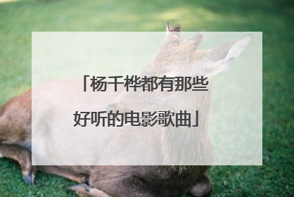 杨千桦都有那些好听的电影歌曲