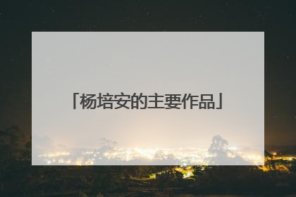 杨培安的主要作品