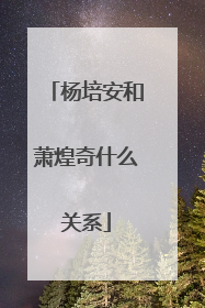 杨培安和萧煌奇什么关系