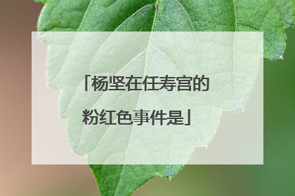 杨坚在任寿宫的粉红色事件是