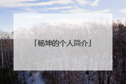 杨坤的个人简介