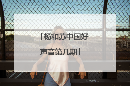 杨和苏中国好声音第几期