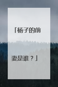 杨子的前妻是谁？