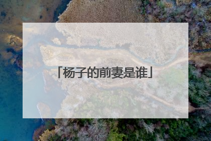 杨子的前妻是谁