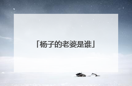 杨子的老婆是谁