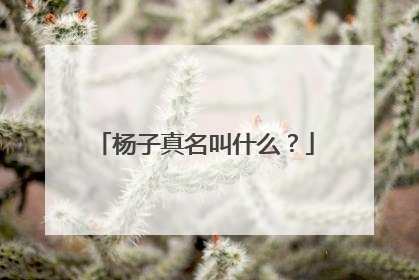 杨子真名叫什么？