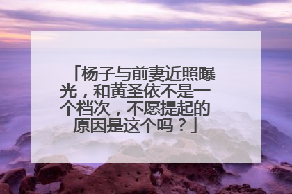 杨子与前妻近照曝光，和黄圣依不是一个档次，不愿提起的原因是这个吗？