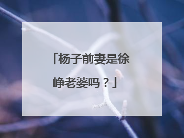 杨子前妻是徐峥老婆吗？