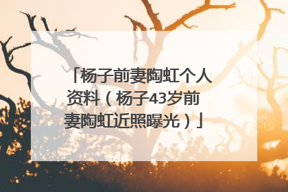 杨子前妻陶虹个人资料（杨子43岁前妻陶虹近照曝光）