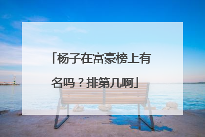 杨子在富豪榜上有名吗？排第几啊