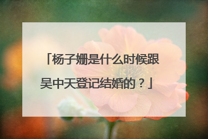 杨子姗是什么时候跟吴中天登记结婚的?