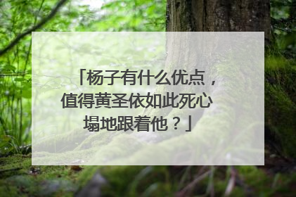 杨子有什么优点，值得黄圣依如此死心塌地跟着他？