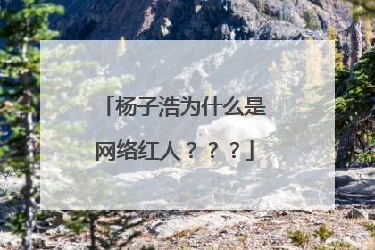 杨子浩为什么是网络红人???