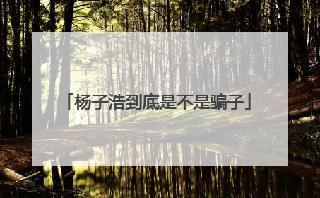 杨子浩到底是不是骗子